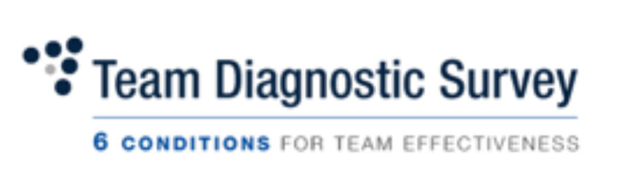 Team Diagnostic Survey logo Team Diagnostic Survey logo